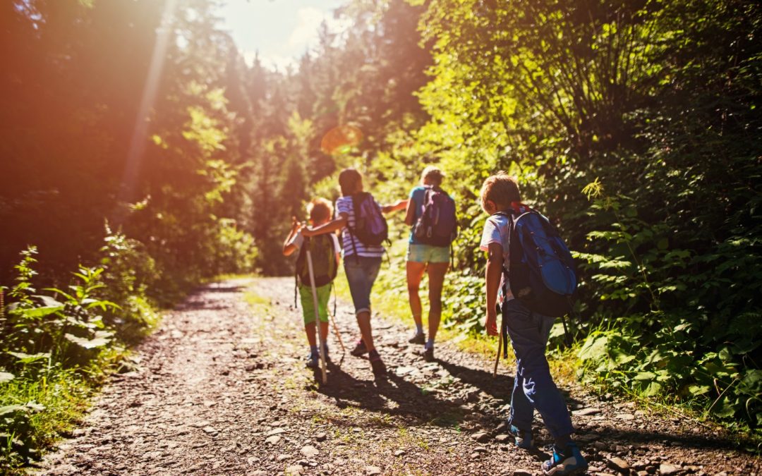 Columbia Valley Hikes